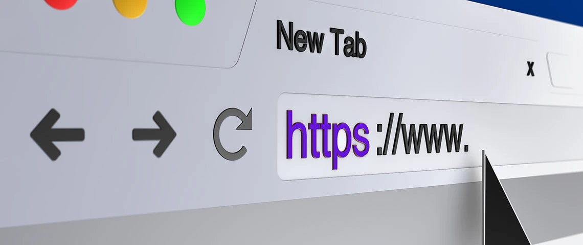 Url in search bar